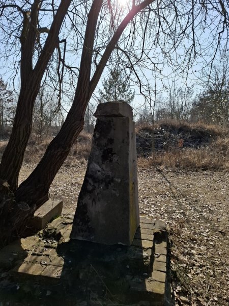 Aktuelle Fotos der Stadt Küstrin / Kostrzyn Ehemalige Altstadt & Festung - Reste des Kriegerdenkmals (Spitze) aus Alt-Drewitz *9