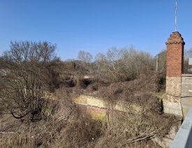 Blick von der Oderbrücke zum Hornwerk *9