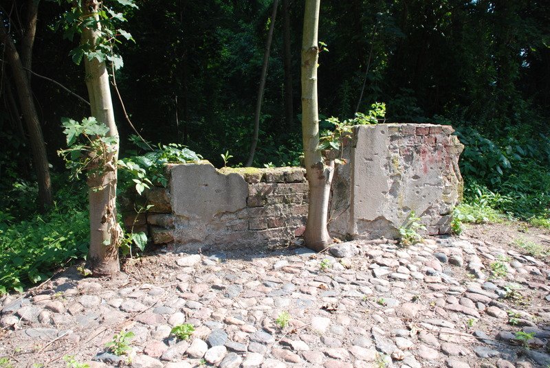 Aktuelle Fotos der Stadt Küstrin / Kostrzyn - Altstadt Ehemalige Altstadt & Festung - Schulstraße 50 *****