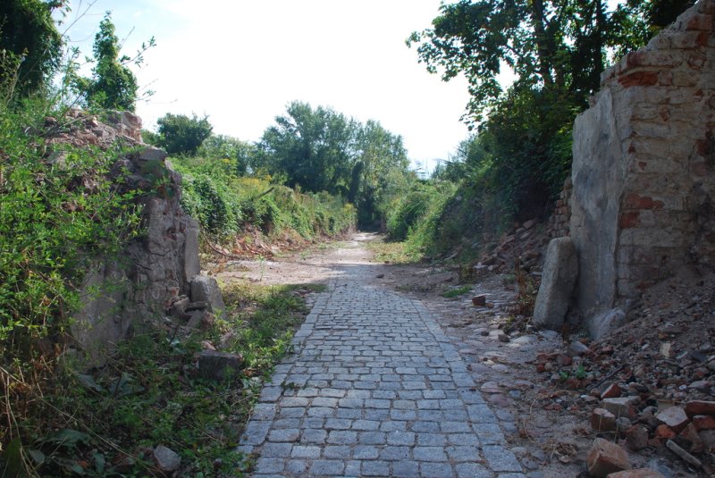 Aktuelle Fotos der Stadt Küstrin / Kostrzyn Ehemalige Altstadt & Festung - Der Zugang zum Scharrn - Ein Durchgang durchs Rathaus *6