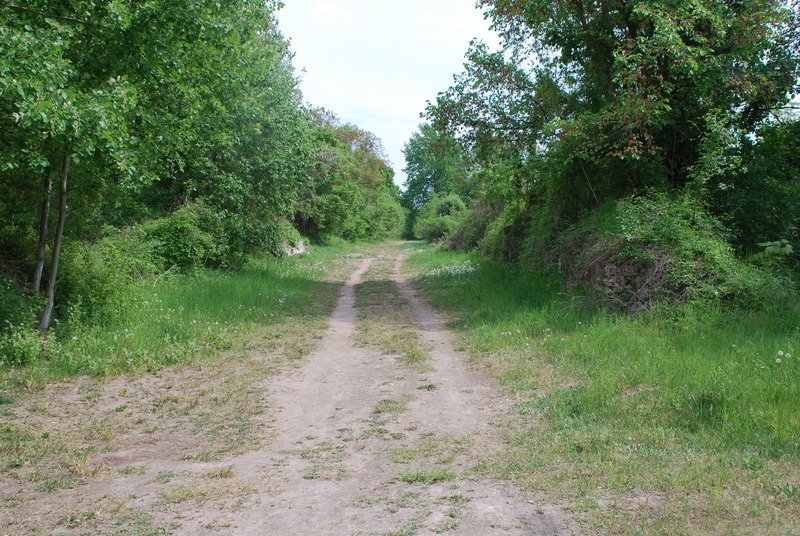 Aktuelle Fotos der Stadt Küstrin / Kostrzyn Ehemalige Altstadt & Festung - Blick in die Kommandantenstraße ***