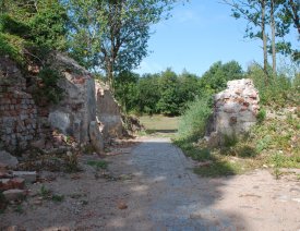Der Scharrn (2) *6