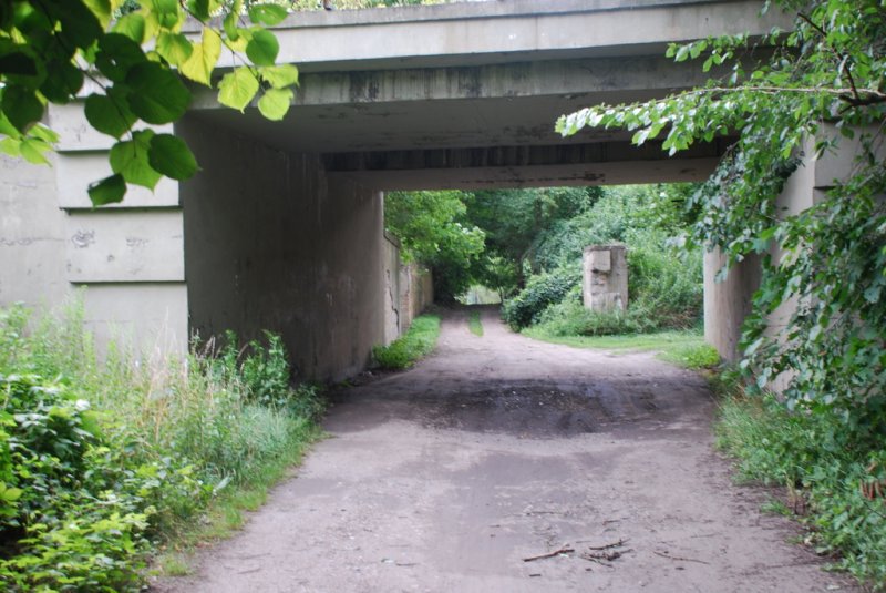 Aktuelle Fotos der Stadt Küstrin / Kostrzyn - Gorin und Warthezufluss Gorin und Warthezufluss - Eisenbahnunterführung