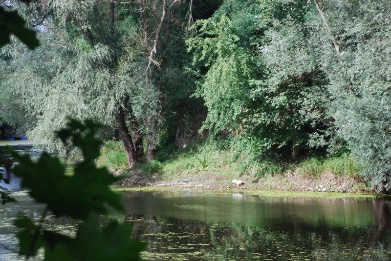 Aktuelle Fotos der Stadt Küstrin / Kostrzyn Gorin und Warthezufluss - Festungswerke auf dem Gorin