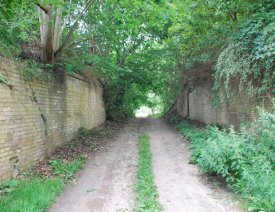 Ruine des Gohrintores