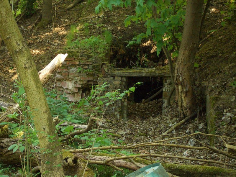 Aktuelle Fotos der Stadt Küstrin / Kostrzyn Lünette B - Ein Eingang...