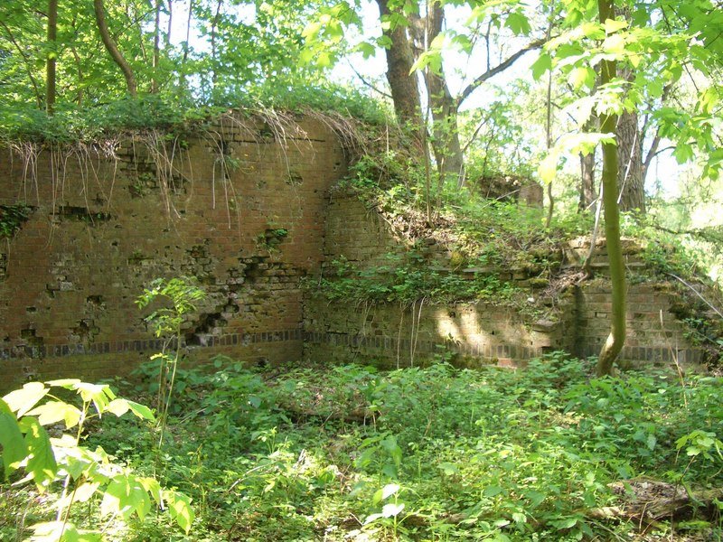 Aktuelle Fotos der Stadt Küstrin / Kostrzyn Lünette B - Ruine der Lünette B (Küstrin-Kietz)