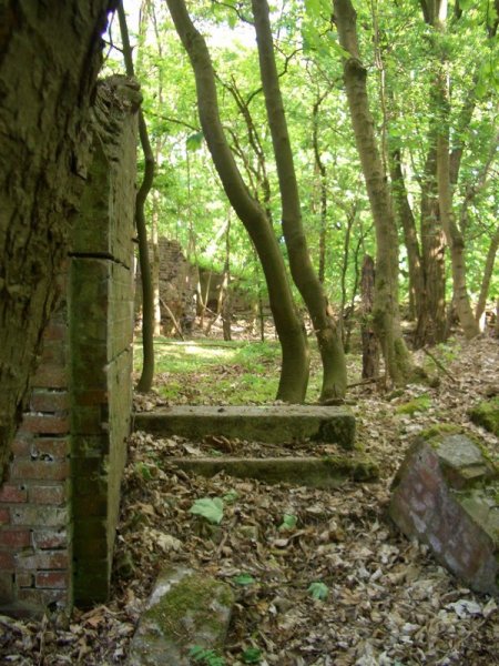 Aktuelle Fotos der Stadt Küstrin / Kostrzyn Lünette B - Eine Treppe in der Lünette...