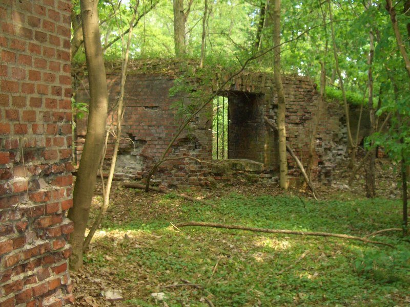 Aktuelle Fotos der Stadt Küstrin / Kostrzyn - Lünette B Lünette B - Ein vergittertes Fenster...