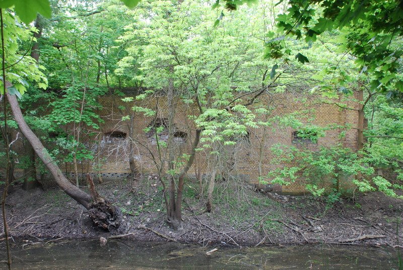Aktuelle Fotos der Stadt Küstrin / Kostrzyn Lünette C - Ruine der Lünette C (Küstrin-Kietz)