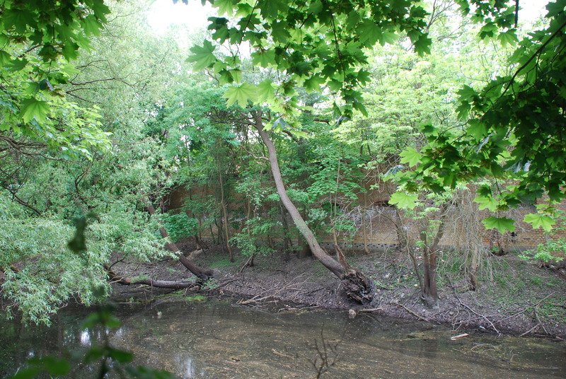 Aktuelle Fotos der Stadt Küstrin / Kostrzyn Lünette C - Ruine der Lünette C (Festung Küstrin)