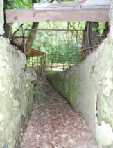 Blick durch die Tür nach draussen