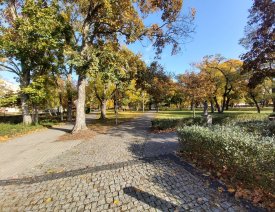 Parkanlage anstelle der Wohnbebauung an der Zorndorfer Straße - ... des früheren städtischen Friedhofes.