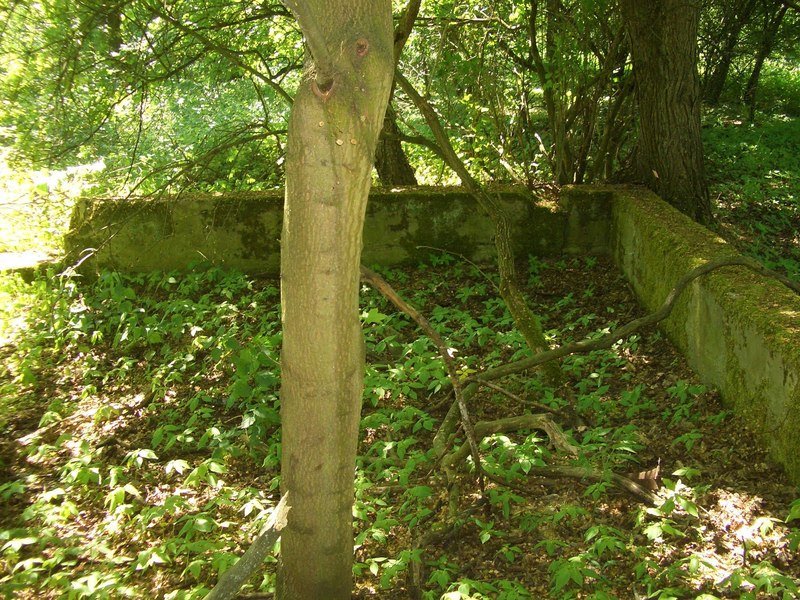Aktuelle Fotos der Stadt Küstrin / Kostrzyn Oderinsel / Artilleriekaserne - Grundmauern eines großen Gebäudes *3