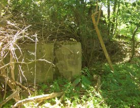 Unbekannte Ruine an der Oderablage *3 - Foto: D. Zittlau