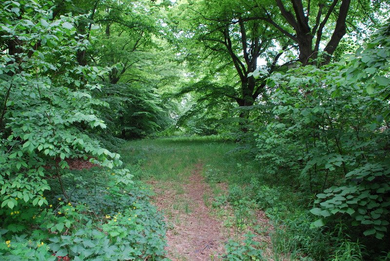 Aktuelle Fotos der Stadt Küstrin / Kostrzyn - Die Oderinsel/Artilleriekaserne Oderinsel / Artilleriekaserne - Die ehemalige Artilleriestraße I *4