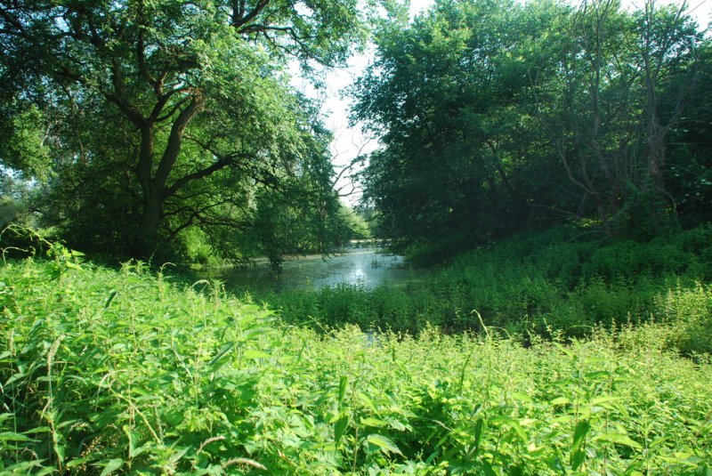 Aktuelle Fotos der Stadt Küstrin / Kostrzyn - Die Oderinsel/Artilleriekaserne Oderinsel / Artilleriekaserne - Graben der linken Flügellünette *5