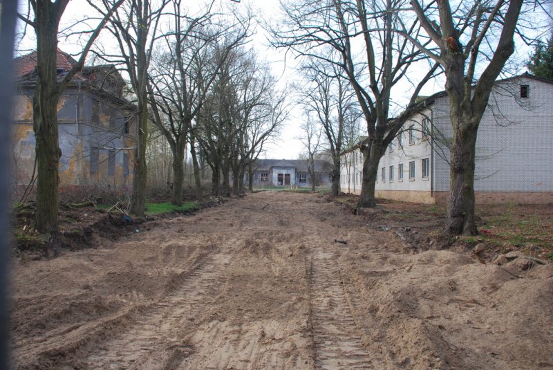 Aktuelle Fotos der Stadt Küstrin / Kostrzyn - Die Oderinsel/Artilleriekaserne Oderinsel / Artilleriekaserne - Artilleriestraße ohne Pflaster *6