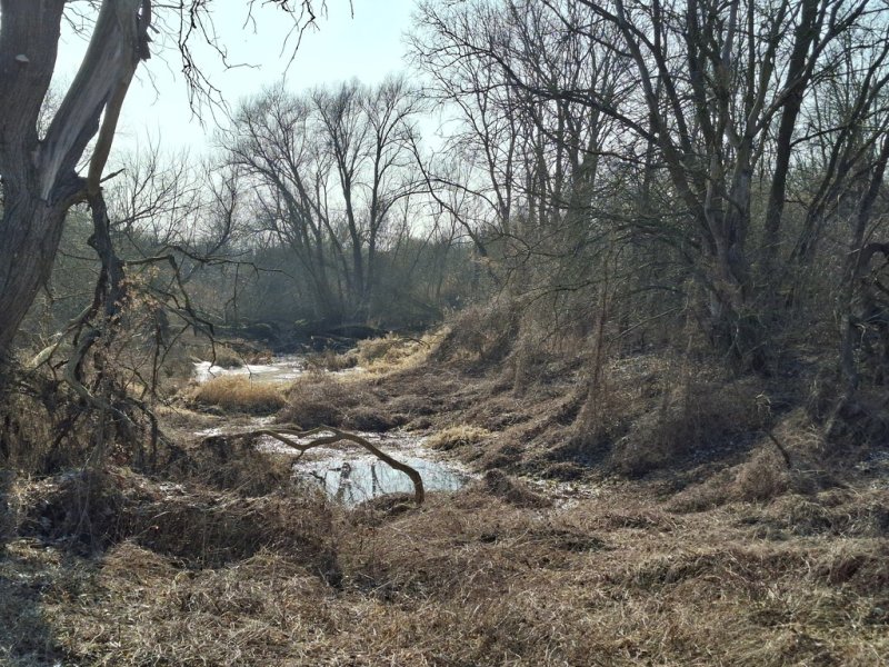 Aktuelle Fotos der Stadt Küstrin / Kostrzyn Oderinsel / Artilleriekaserne - Graben der linken Flügellünette 2026 *9