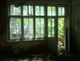 Zölker-Villa, Terrassenfenster *6