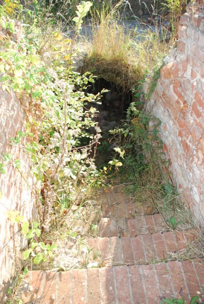 Aktuelle Fotos der Stadt Küstrin / Kostrzyn Die Schloßruine - Kellerzugang Schloss Küstrin
