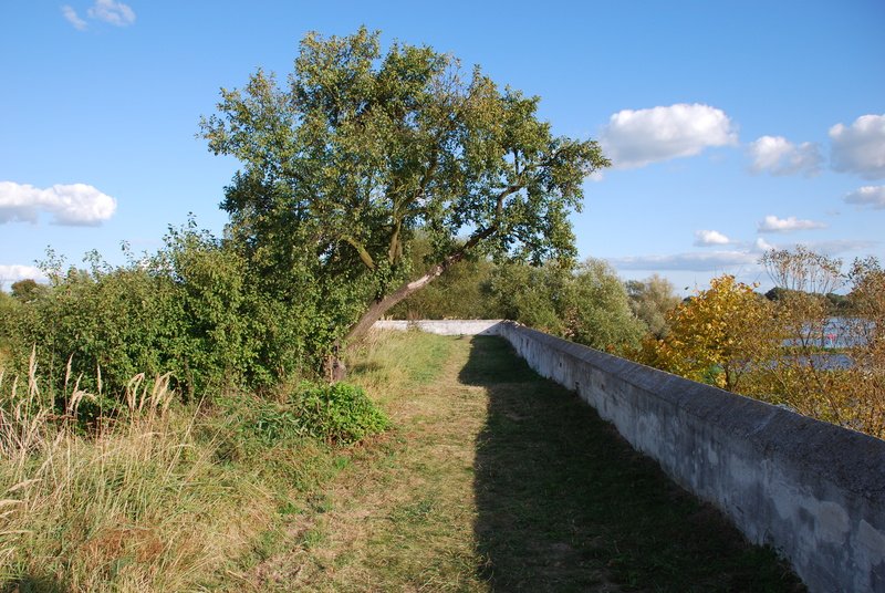 Aktuelle Fotos der Stadt Küstrin / Kostrzyn Ehemalige Altstadt & Festung - Auf dem Kattewall **
