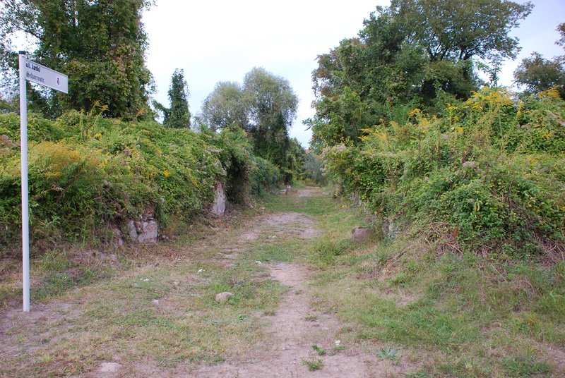Aktuelle Fotos der Stadt Küstrin / Kostrzyn - Altstadt Ehemalige Altstadt & Festung - Blick in die Scharrnstraße  **