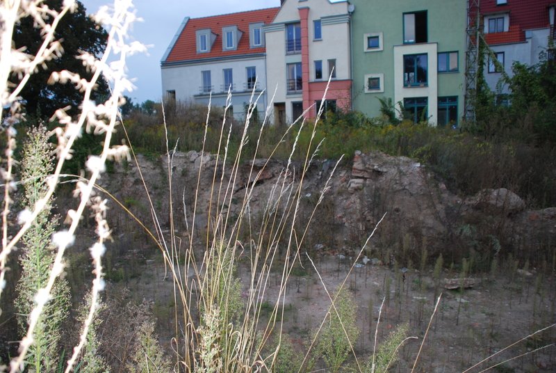Aktuelle Fotos der Stadt Küstrin / Kostrzyn Ehemalige Altstadt & Festung - Schulstraße mit Resten des Gymnasiums und den damaligen Schwarzbauten **