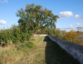 Auf dem Kattewall ** - Das südliche Ende der Bastion Brandenburg ist in Sicht.