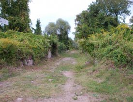 Blick in die Scharrnstraße  ** - Blick in die Scharrnstraße.