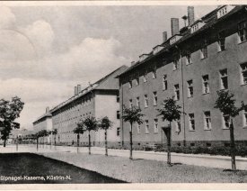 Junge Bäume in der Stülpnagelkaserne